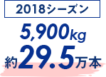 2018赛季