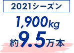 2021赛季